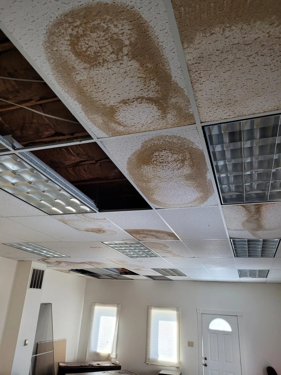 Brown water stains on drop-ceiling tiles at a commercial site in Greenwood before repair