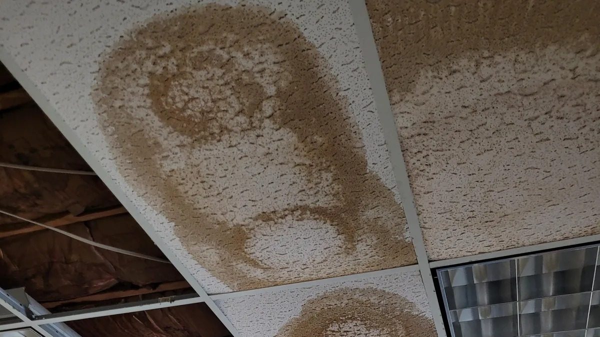 Brown water stains spreading across drop-ceiling tiles at a commercial site in Greenwood before repair
